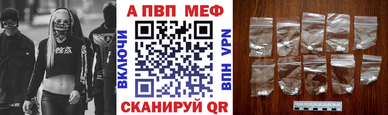 Alfa_PVP СК КРИС Балтийск