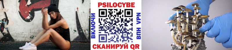 где купить наркоту  Балтийск  Псилоцибиновые грибы Cubensis 